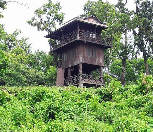 Tower Night Stay in Chitwan